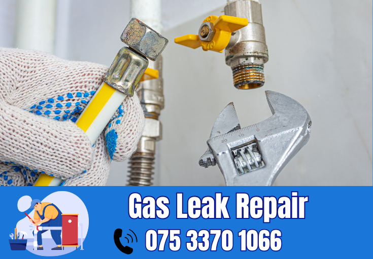 gas leak repair Wrotham