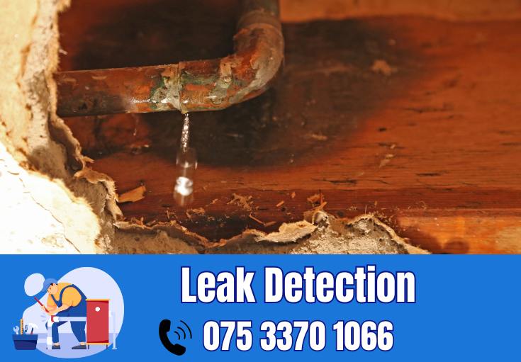 leak detection Wrotham